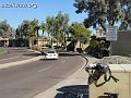 DSC01501-_01