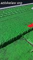 IMG_20150125_104114586_01