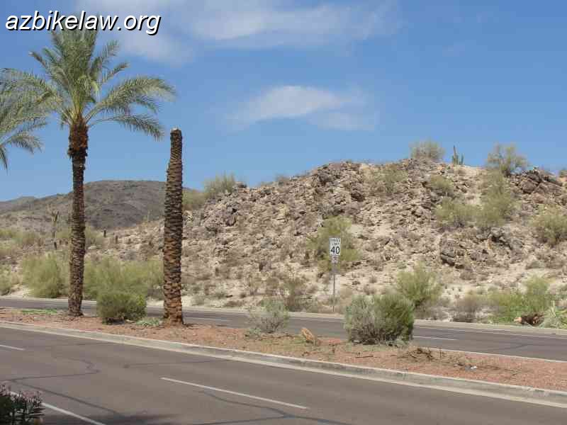 RayRdSept2011fatal_02.JPG - Fatality Ray Road early morning hours 9/24/2011, ~ E 3400 block, Phoenix. Appears the impact decapitated this palm tree.
